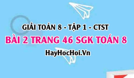 Giải bài 2 trang 46 Toán 8 Tập 1 SGK Chân trời sáng tạo